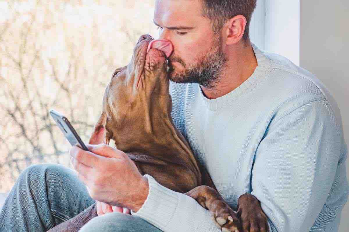 Perché il cane vi lecca?