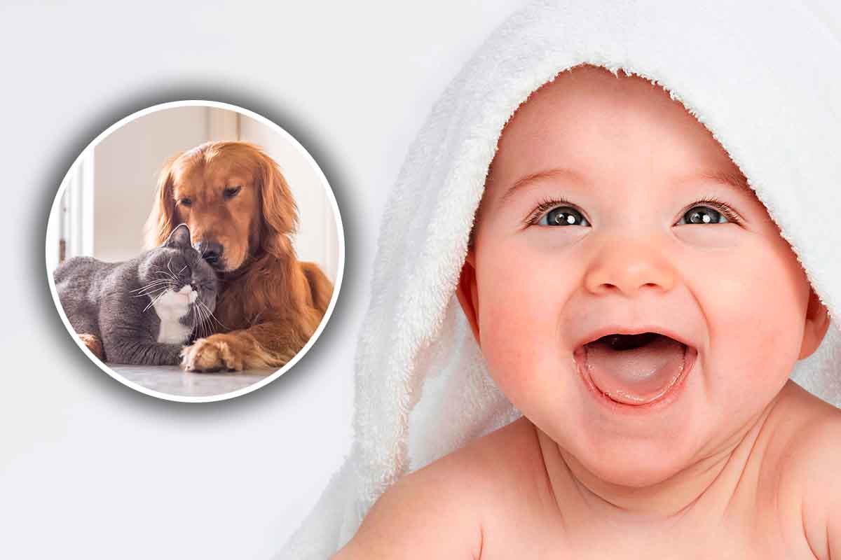 convivenza animale domestico bambini 