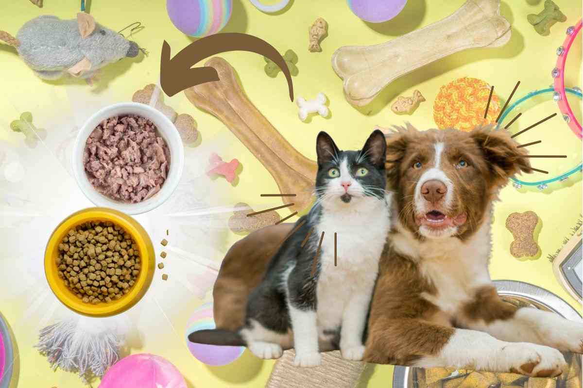 CANI - GATTI - DISTRIBUTORE AUTOMATICO SOLO CIBO PER UN ANIMALE