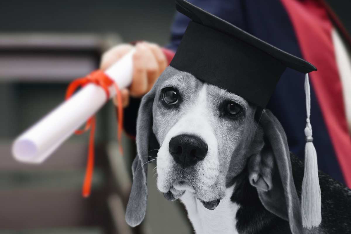 primo cane laureato al mondo