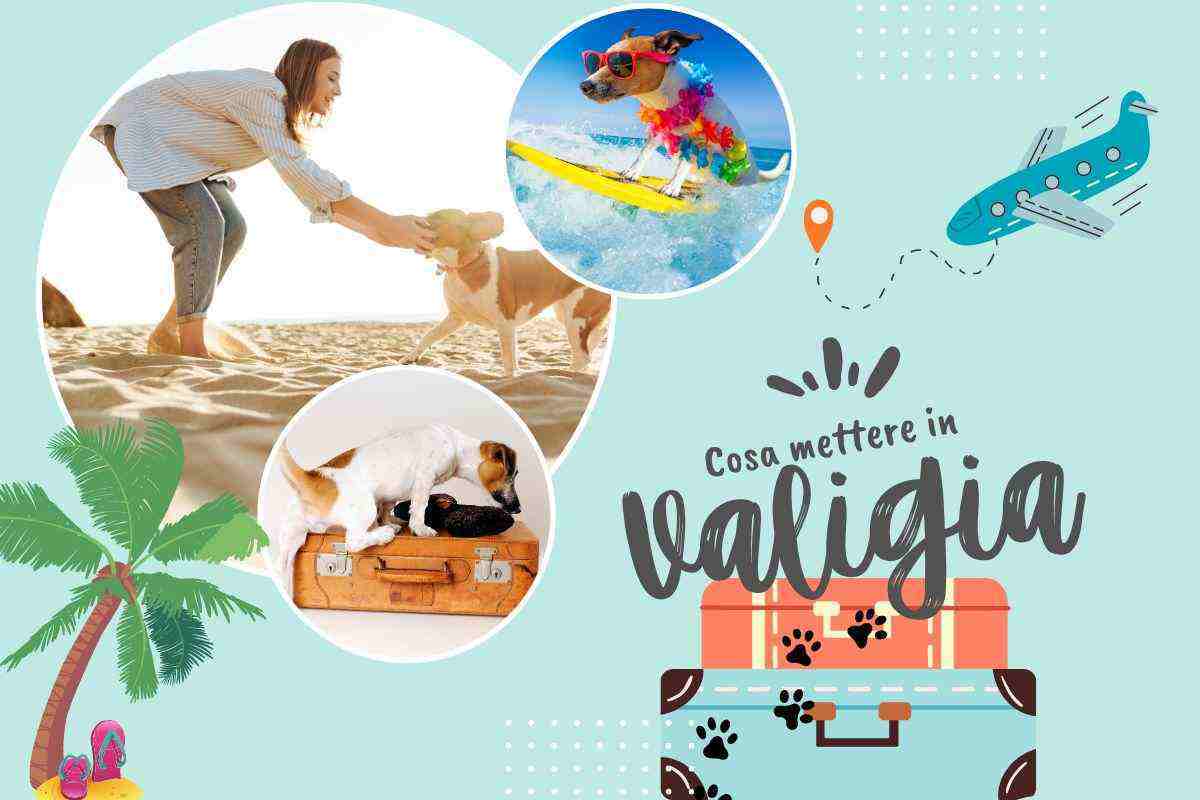 cane in vacanza: cosa metti in valigia?