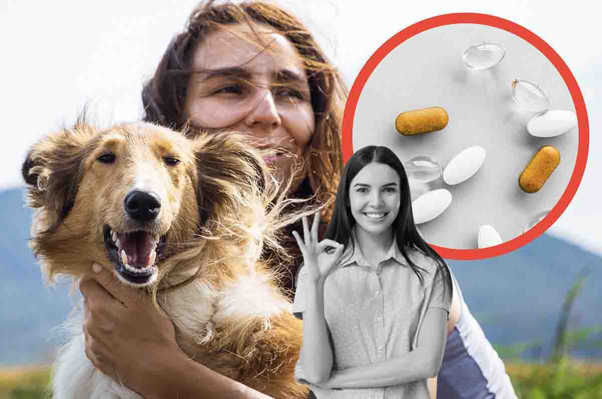 probiotici al cane