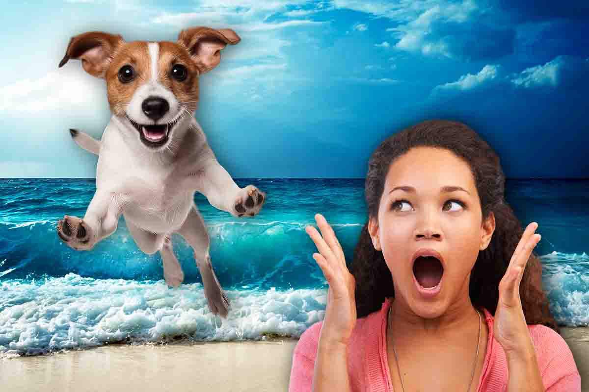 Come salvare il cane quando sta per annegare