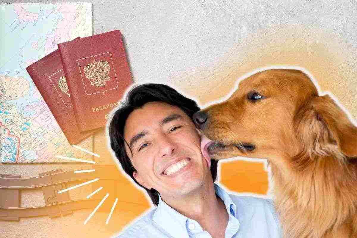 Tutti i documenti da portare per far viaggiare il cane all'estero