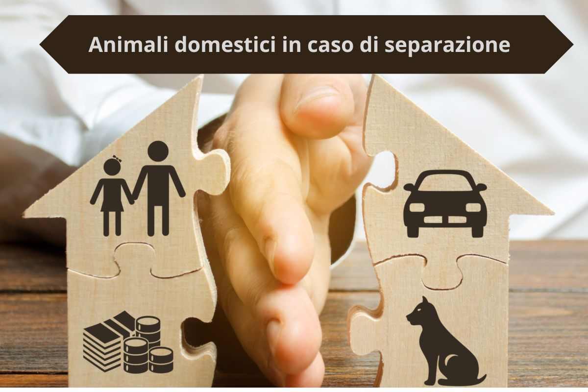 A chi vanno beni e animali domestici in caso di separazione