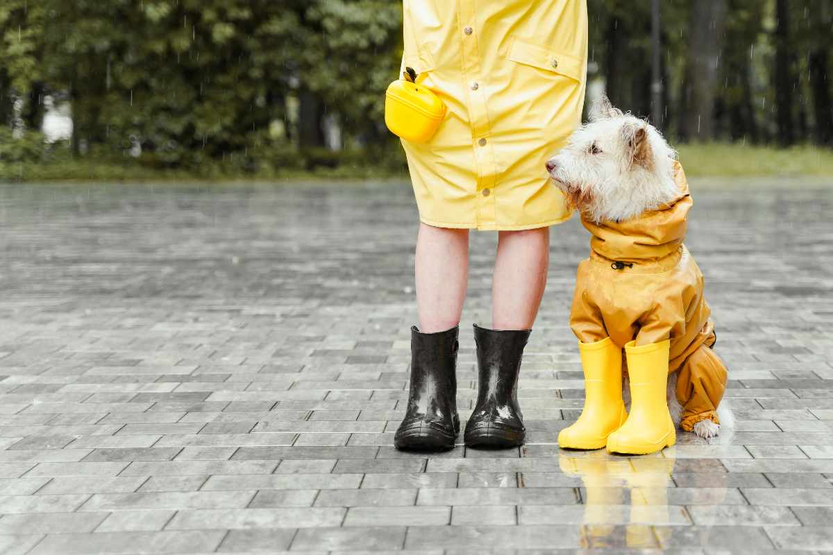 passeggio cane piove