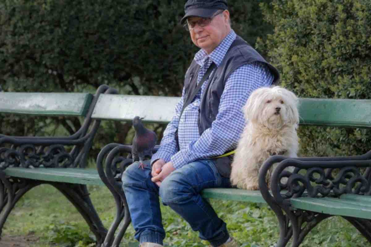 cane con padrone sulla panchina