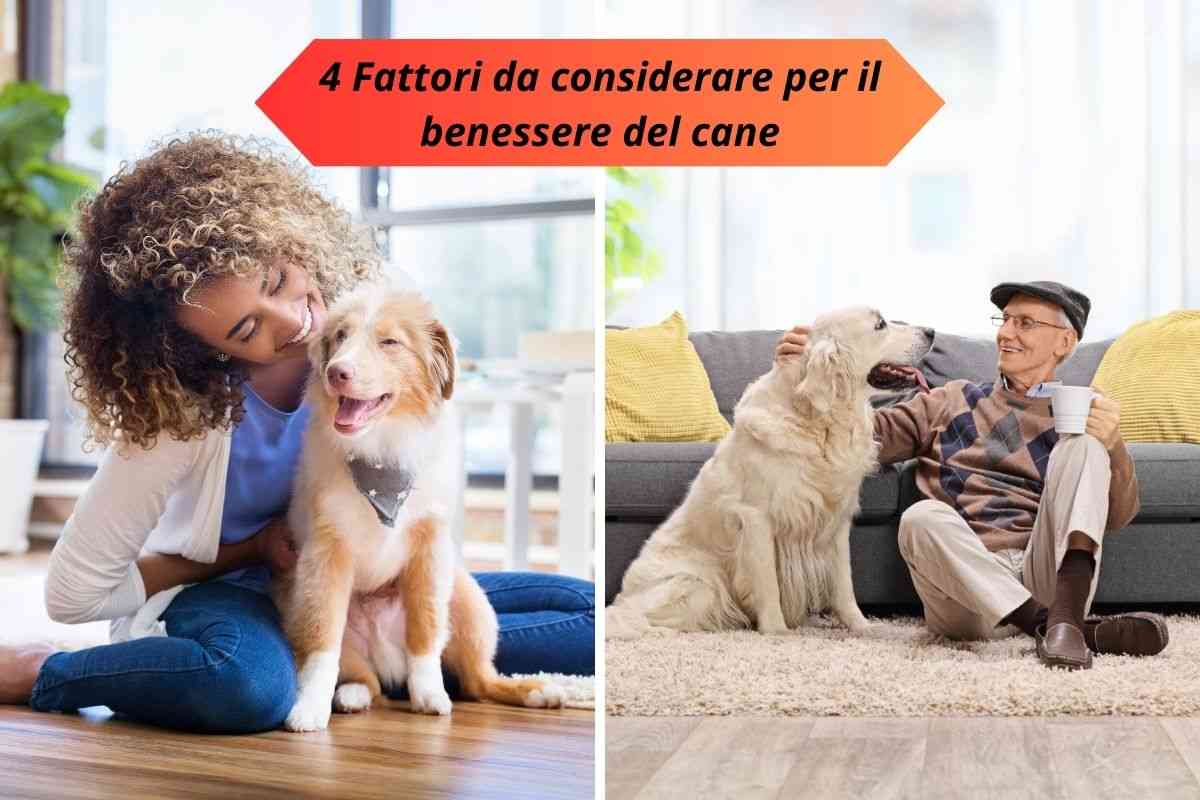 Cane con giovane donna e cane con anziano