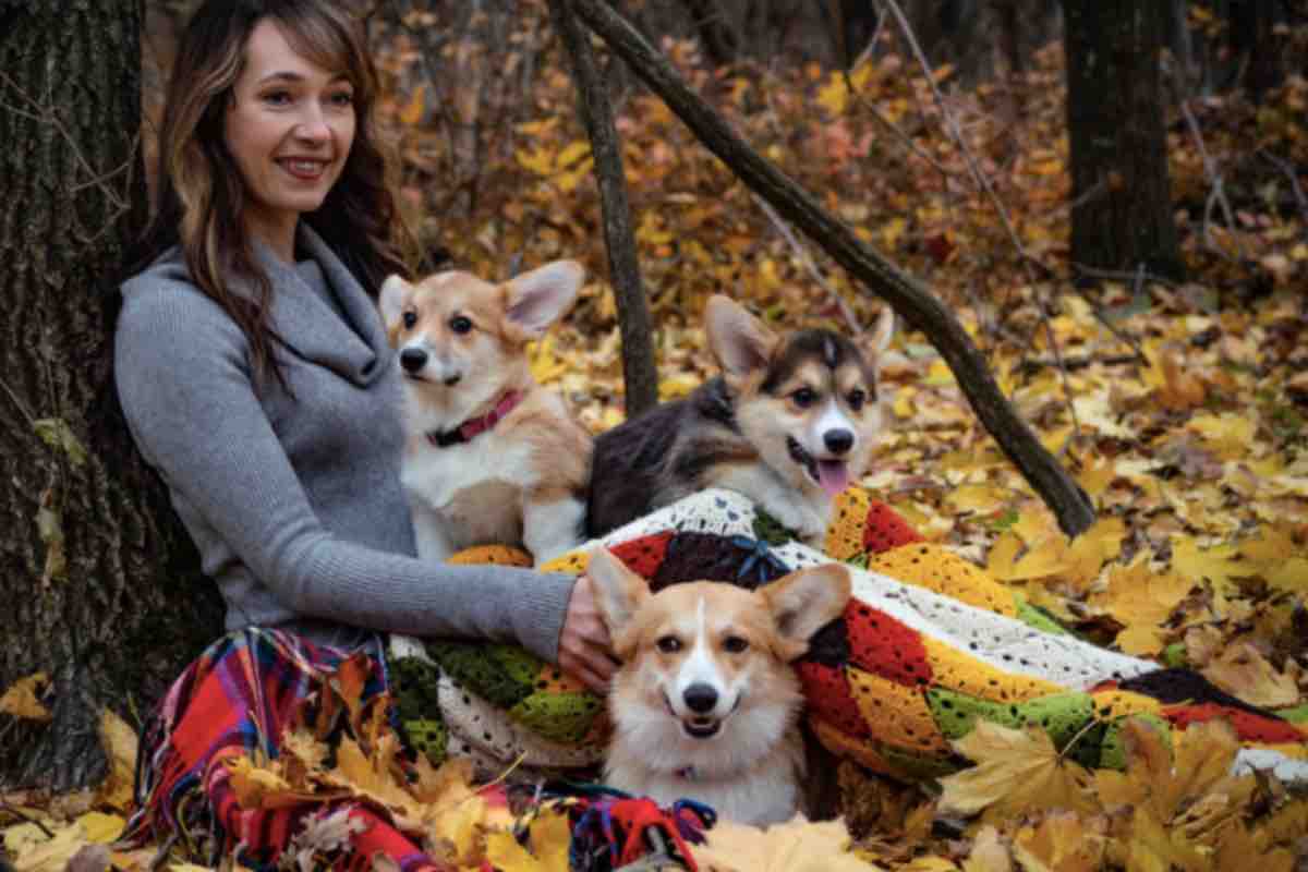 Cani tra le foglie in autunno