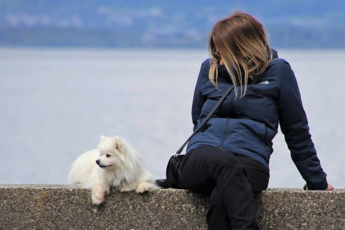 Un cane impegnato a ricordare sul lago con la sua umana