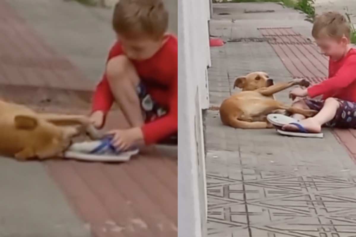 Un bambino con la maglia rossa e un cane solo sul marciapiede