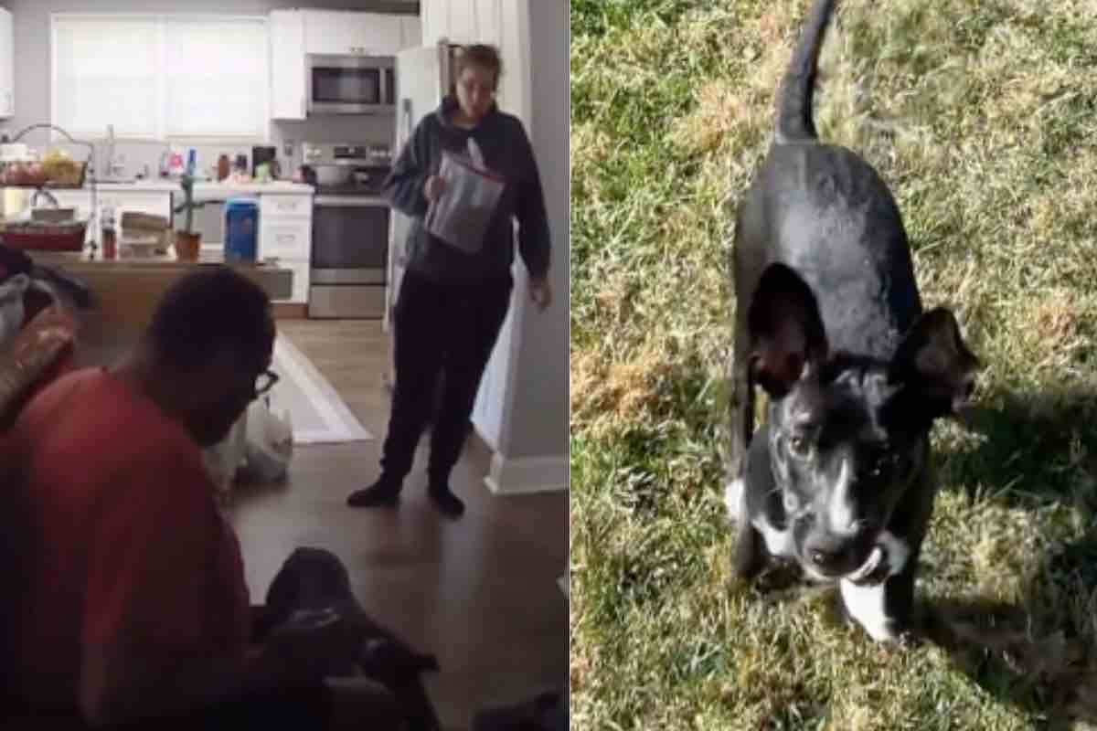 La cagnolina prima e dopo