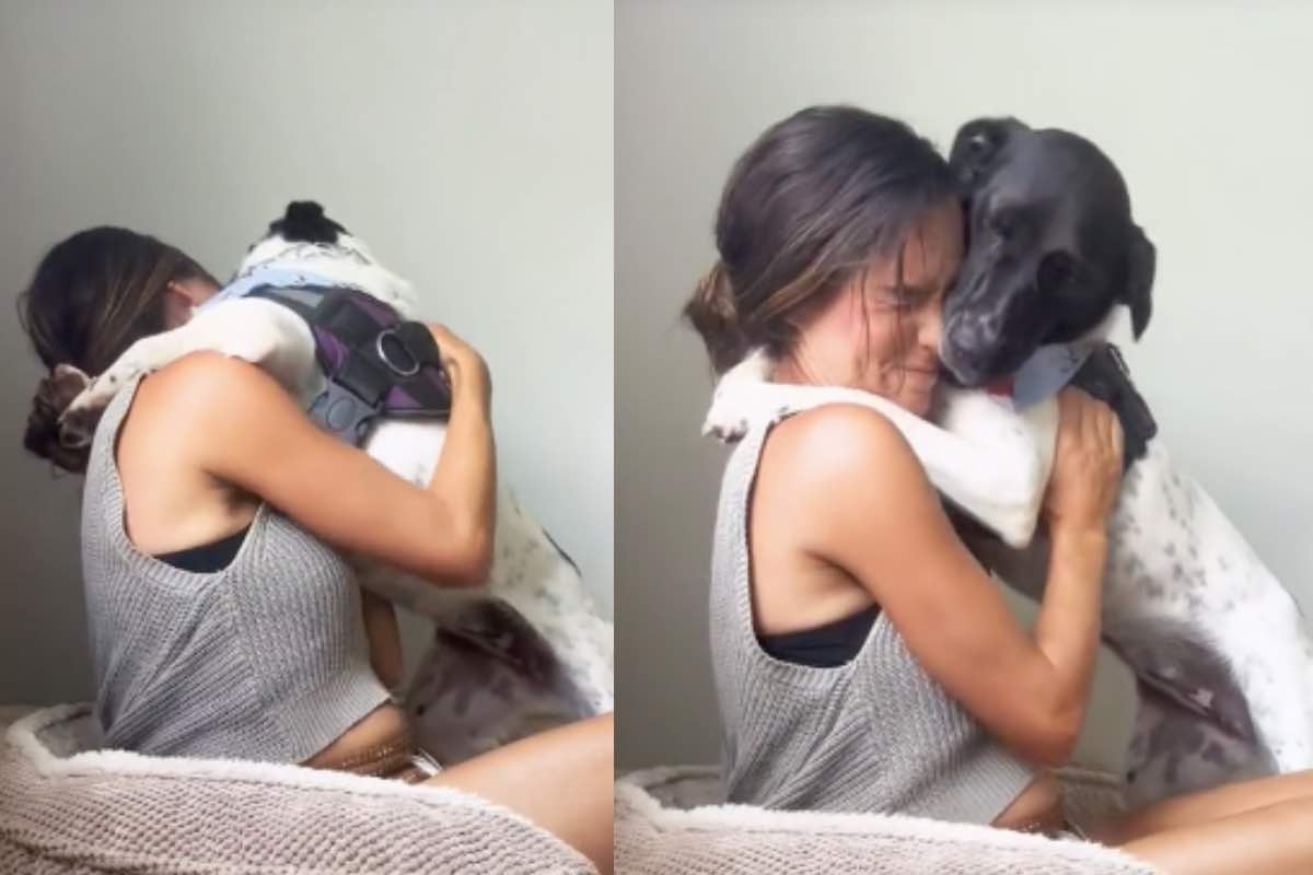 Cane abbraccia la ragazza