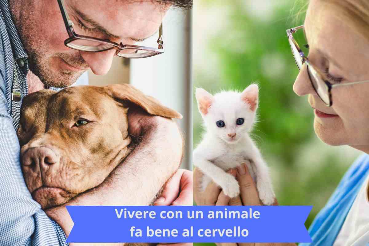 Padrone con il cane e padrona con un gatto