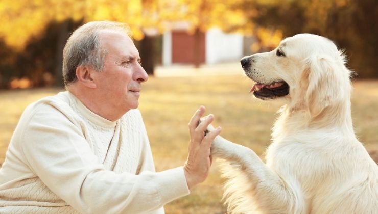 Anziano al parco col suo cane