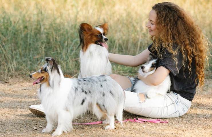 il tuo cane vuole partecipare agli abbracci